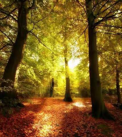 我们携手前行，定能守得云开见月明！——博学班集体