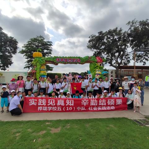 实践见真知，辛勤结硕果