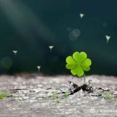 课堂直播促交流，网络研讨展风采——桦珑学校数学高段组