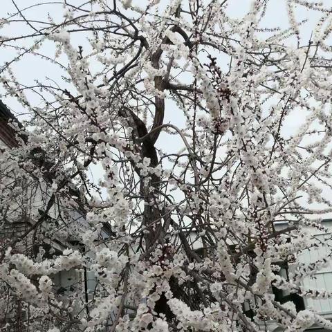 宅家防疫时光，我们一起加油