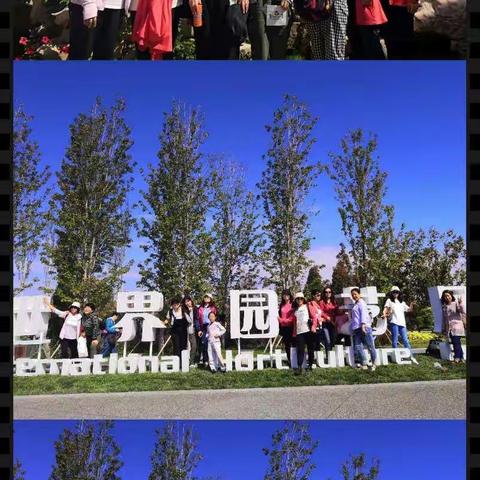 融入自然   放飞心灵