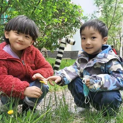 我和春天合个影