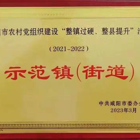 永寿县甘井镇强化“六个引领”全面推进“镇过硬、村达标”