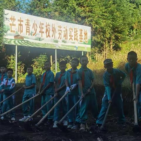 2022年芒市第三小学221班校外劳动实践活动——翻地