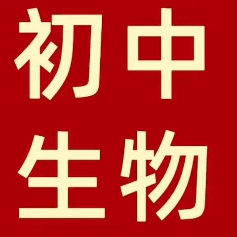 疫期学习攻略——一六镇中学