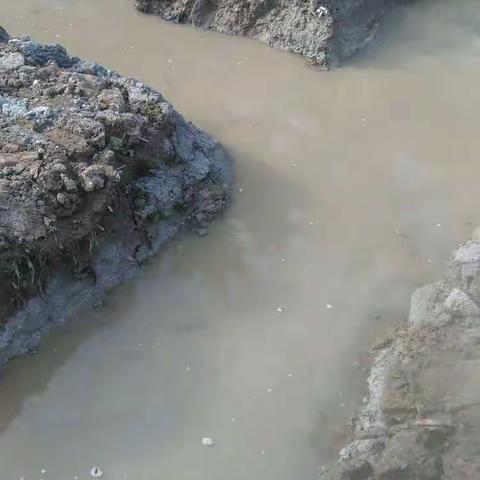 我的美篇