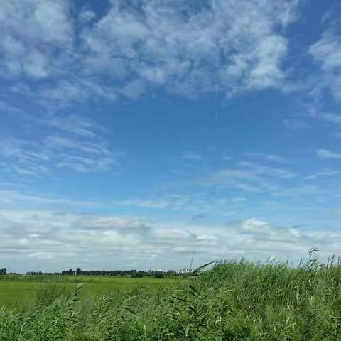 201908同学相聚--游查干湖/松花湖风景名胜