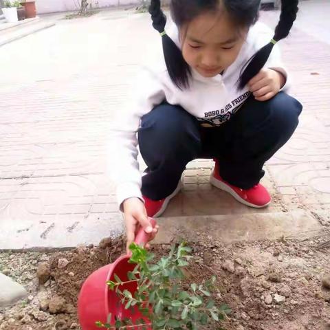 在春天里播种希望—三·一中队植树节活动