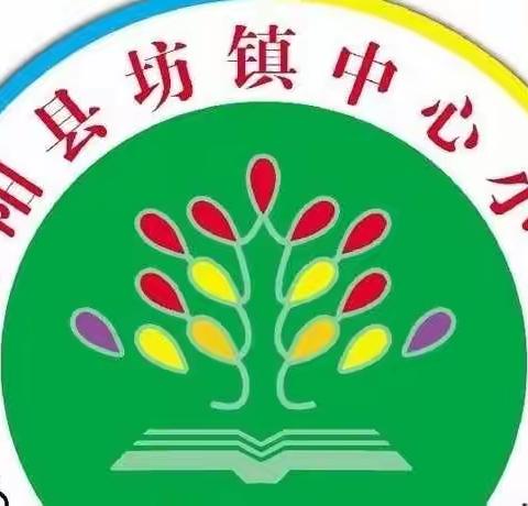 养成良好习惯，成就美好人生         ——坊镇中心小学“养成良好的读书习惯”主题升旗仪式