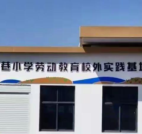 “蔬香瓜甜真有味，果满趣多且修身”——大司巷小学五（6）班劳动实践活动