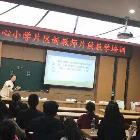 龙浔中心小学片区新教师片段教学培训活动