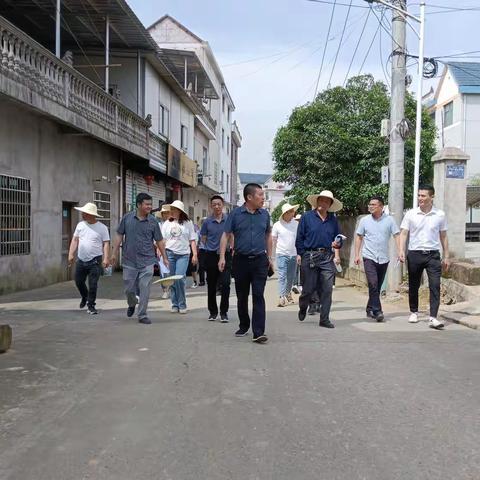 【大抓基层年】中畈乡人大：人大代表“把脉”人居环境 评比助力乡村振兴