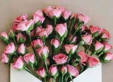 五一班全体师生祝所有的母亲节日快乐，幸福永远，青春永驻