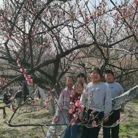 402班植物园赏梅——梅花香自苦寒来