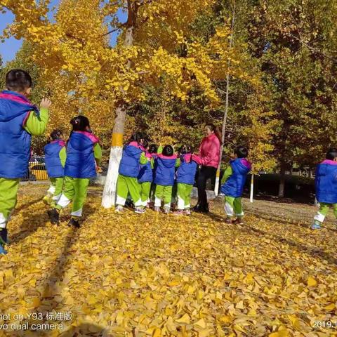 落叶下的小太阳👦👧🍂🍁