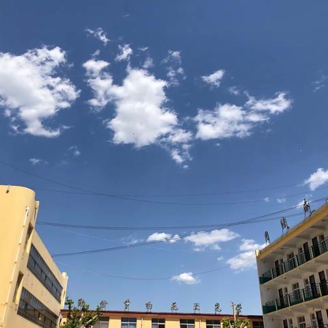 夏日花正开，迎学子归来  ——  曹县第二初级中学初二年级开学记