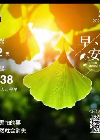 独处的时候享受那份宁静，相聚的时候感受那份喜悦，一切快乐就好💐💐
