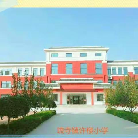 停课不停教，我们在成长——琉寺镇许楼小学空中课堂教学之语文篇