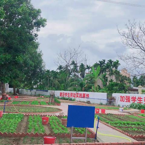 田园护卫小分队们的日常——万宁市山根镇中心学校田园课程实录