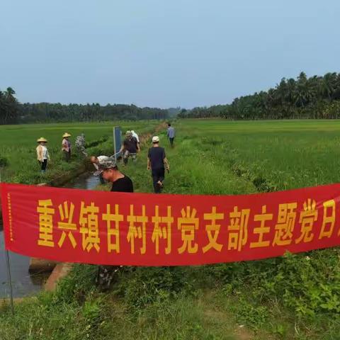 文昌市重兴镇甘村中队开展六水共治活动