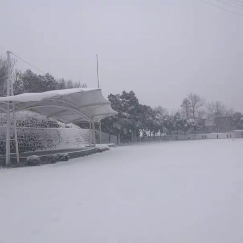 励进走马轻风雪——幕小扫雪突击队雪中掠影