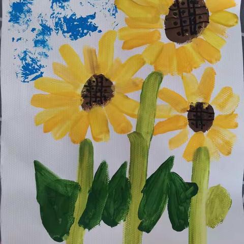 《太阳花🌻》