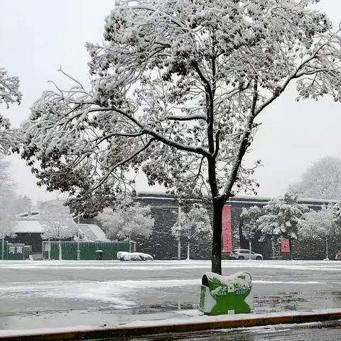 春天的雪—古城荆州