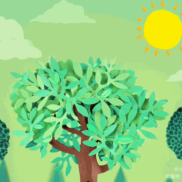 爱上春天，绿色伴我成长                         ————飞天幼儿园种植活动