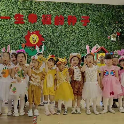 小太阳幼儿园小二班学期总结