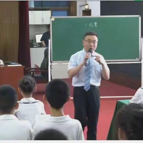 42潮阳小学孙畅  《白鹭》观后感