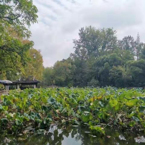 【新风实小】最是一年秋游时 不负光阴不负卿——记清河校区三年级组秋游研学活动