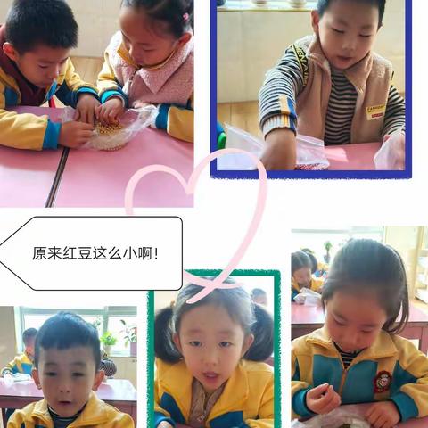 春蕾幼儿园大二班主题系列活动《豆子的畅享》