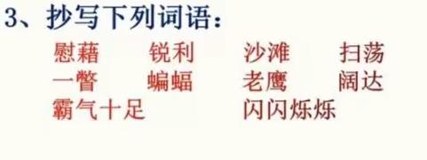 邓艳的美篇
