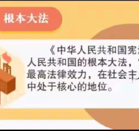 西宁市中庄小学开展“学习二十大 争做好队员”系列活动(四)——讲活动崇尚宪法精神 坚守人民立场