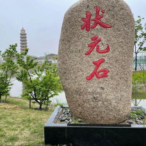 高校专项报考注意事项⚠️