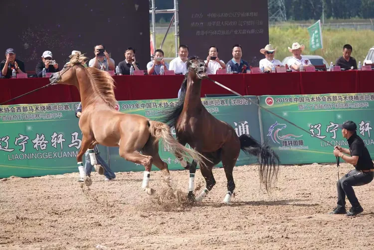 2019.中国马术协会西部绕桶巡回赛（沈阳站）暨辽宁省格轩国际赛马嘉年华《之一》