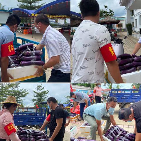 能力提升建设年｜心系群众 携手抗疫--新兴村为村民办实事