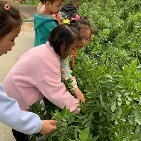 运粮湖管理区小太阳幼儿园的美篇