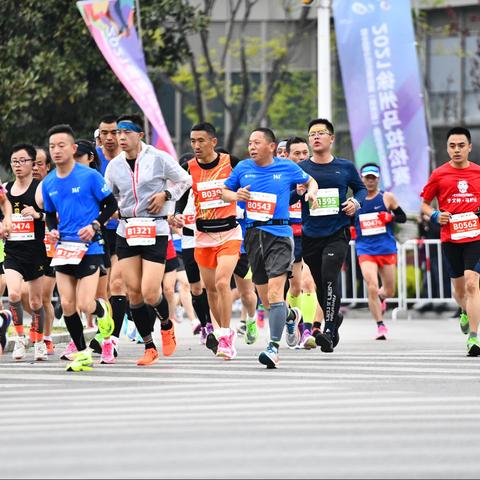 徐州归来忆徐马