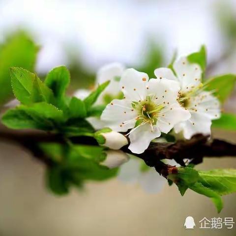 行而不辍，未来可期