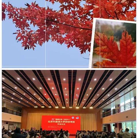 一年好景君须记，最是橙黄橘绿时。——北京外国语大学国培计划研修心得