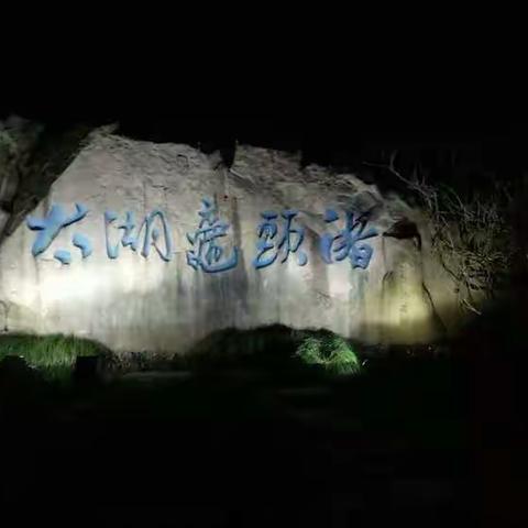 太湖鼋头渚第二十二届樱花节，二零一八年四月开幕