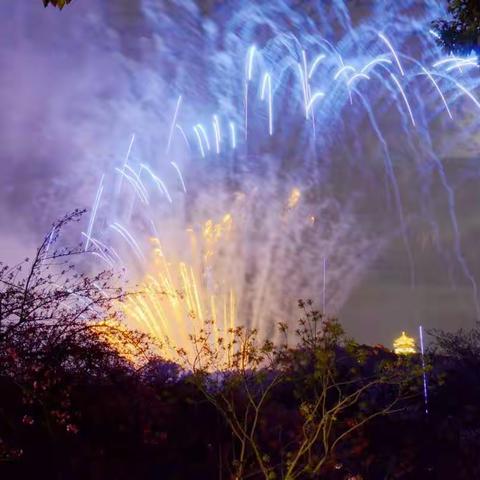 2018年太湖鼋头渚第22届樱花节