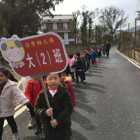 沿背幼儿园大二班春游踏青活动