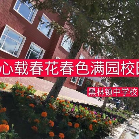 黑林中学栽花育苗美化校园活动