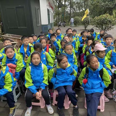 2019年11月14日大渡口百花小学4.2赴歌乐山飞越丛林研学活动