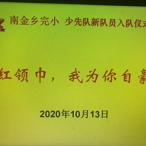 “红领巾，我为你自豪”新队员入队仪式——南金乡完小活动剪影