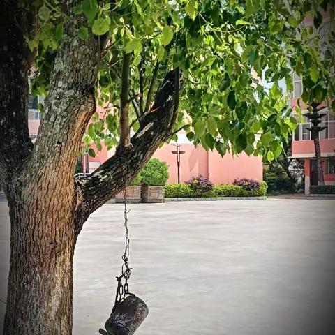 挂在树上的时钟