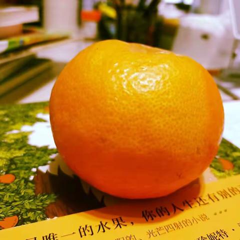 《橘子不是唯一的水果》读后感