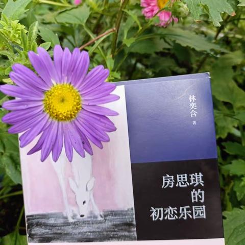 《房思琪的初恋乐园》读后感